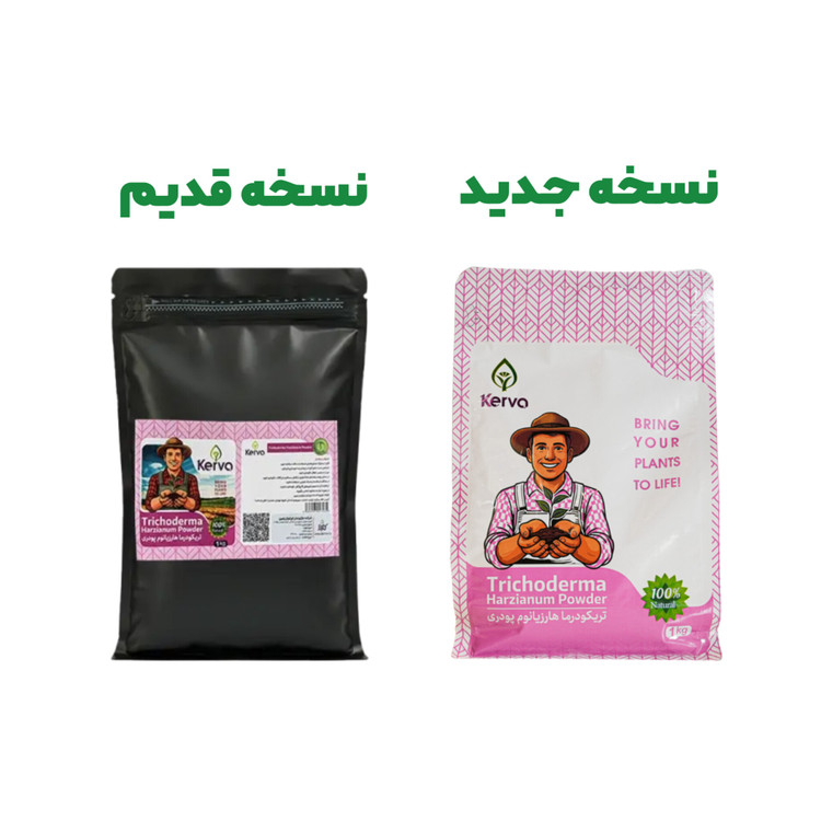کود و قارچکش دوکاره کروا؛ محافظ ریشه و تقویتکننده محصول